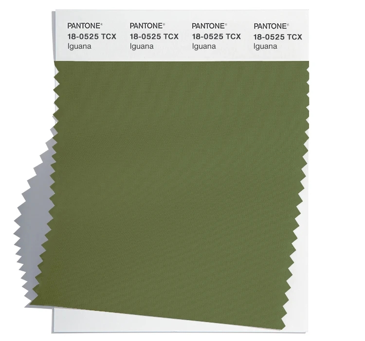 PANTONE 18-0525TCX PANTONE 18-0525TCX